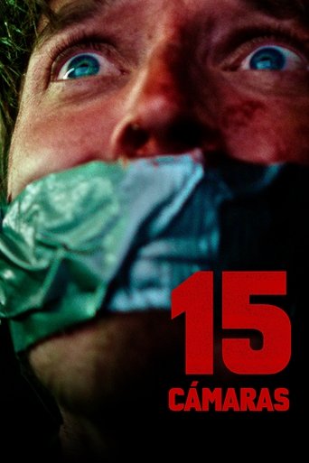 15 cámaras