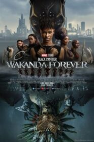 Pantera Negra: Wakanda por siempre