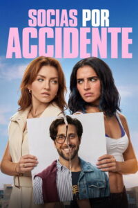 Carátula de la película Socias por accidente