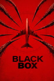 Black Box: Vuelo 298