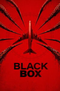 Carátula de la película Black Box: Vuelo 298