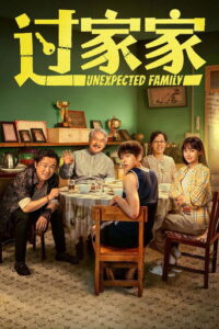 Carátula de la película Una familia inesperada